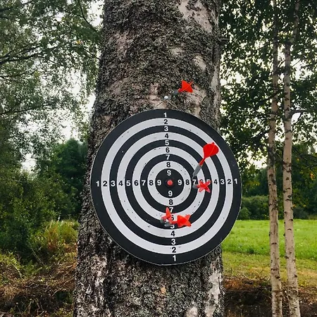 Мини-отель Molnby